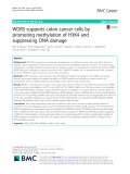 WDR5 supports colon cancer cells by promoting methylation of H3K4 and suppressing DNA damage