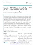 Regulation of CNKSR2 protein stability by the HECT E3 ubiquitin ligase Smurf2, and its role in breast cancer progression