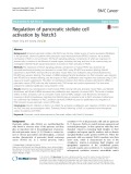Regulation of pancreatic stellate cell activation by Notch3