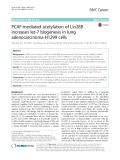 PCAF-mediated acetylation of Lin28B increases let-7 biogenesis in lung adenocarcinoma H1299 cells