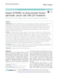 Impact of RUNX2 on drug-resistant human pancreatic cancer cells with p53 mutations