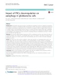 Impact of PKCε downregulation on autophagy in glioblastoma cells