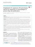 Amphotericin B suppresses M2 phenotypes and B7-H1 expression in macrophages to prevent Raji cell proliferation