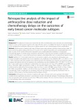 Retrospective analysis of the impact of anthracycline dose reduction and chemotherapy delays on the outcomes of early breast cancer molecular subtypes