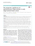 The prognostic significance of topoisomerase II alpha protein in early stage luminal breast cancer