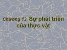 Bài giảng Sinh học đại cương (Phần 3): Chương 13 - ThS. Võ Thanh Phúc