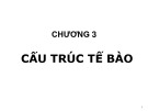 Bài giảng Sinh học đại cương (Phần 1): Chương 3 - ThS. Võ Thanh Phúc