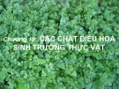 Bài giảng Sinh học đại cương (Phần 3): Chương 19 - ThS. Võ Thanh Phúc