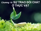 Bài giảng Sinh học đại cương (Phần 3): Chương 18 - ThS. Võ Thanh Phúc