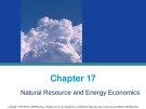 Lecture Macroeconomics (20/e): Chapter 17 - McConnell, Brue, Flynn
