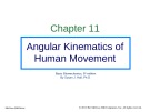 Lecture Basic Biomechanics (6e): Chapter 11 - Susan J. Hall