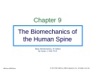 Lecture Basic Biomechanics (6e): Chapter 9 - Susan J. Hall