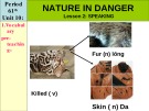 Bài giảng Tiếng Anh 11 - Unit 10: Nature in danger (Speaking)