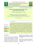 Response of transplanted paddy to foliar spray of silicon in South Gujarat, India