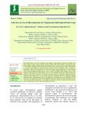A review on use of micronutrients in tropical and subtropical fruit crops