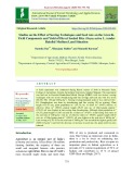 Studies on the effect of sowing techniques and seed rate on the growth, yield components and yield of direct seeded rice (Oryza sativa L.) under rainfed medium land situation