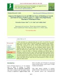 Impact of fertigation levels and different types of mulching on growth and yield of Guava (Psidium guajava L.) under ultra-high density planting in Chhattisgarh Plains