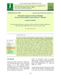 Principal component analysis in rainfed green gram genotypes [Vigna radiata (L.) Wilczek]
