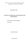 Phd thesis summary: Adaptive control for six phase induction motor drives