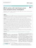 BRCA2 carriers with male breast cancer show elevated tumour methylation