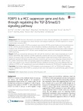 FOXP3 Is a HCC suppressor gene and Acts through regulating the TGF-β/Smad2/3 signaling pathway