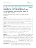 Development of quality indicators for non-small cell lung cancer care: A first step toward assessing and improving quality of cancer care in China