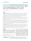 In vitro characterization of CD133lo cancer stem cells in Retinoblastoma Y79 cell line
