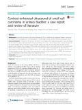 Contrast-enhanced ultrasound of small cell carcinoma in urinary bladder: A case report and review of literature
