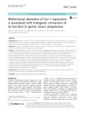 Bidirectional alteration of Cav-1 expression is associated with mitogenic conversion of its function in gastric tumor progression