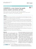 CAISMOV24, a new human low-grade serous ovarian carcinoma cell line
