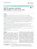 VEGFR2 regulates endothelial differentiation of colon cancer cells