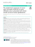 The predominant expression of cancer stem cell marker ALDH1A3 in tumor infiltrative area is associated with shorter overall survival of human glioblastoma