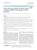 Trop2 enhances invasion of thyroid cancer by inducing MMP2 through ERK and JNK pathways