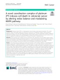 A novel coordination complex of platinum (PT) induces cell death in colorectal cancer by altering redox balance and modulating MAPK pathway