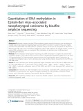Quantitation of DNA methylation in Epstein-Barr virus–associated nasopharyngeal carcinoma by bisulfite amplicon sequencing