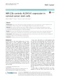 MiR-23b controls ALDH1A1 expression in cervical cancer stem cells