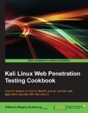 Setting up Kali Linux