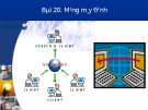 Bài giảng Tin học 10 - Bài 20: Mạng máy tính (Bùi Thanh Hoàn)