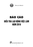 Điều tra lao động việc làm năm 2018