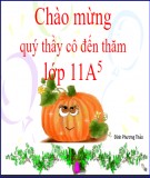 Bài giảng Đại số và Giải tích 11 - Bài 1: Phương pháp quy nạp toán học (Đinh Phương Thảo)