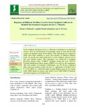 Response of different fertilizer level to sweet sorghum cultivars in rainfed environment (Sorghum bicolor L. Moench)
