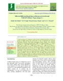 Effect of different basal doses of boron on growth and yield of urdbean (Vigna mungo L.)