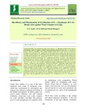 Bio-efficacy and Phytotoxicity of Oxyfluorfen 2.5% + glyphosate 41% SC (Ready mix) against weed complex in grape