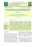 Response of soybean (Glycine max L. Merril) to biofertilizer and FYM in the jhum fields under Zunheboto districts of Nagaland, India