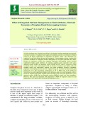 Effect of integrated nutrient management on yield attributes, yield and economics of sorghum based intercropping systems