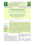 Yield and water use efficiency of cucumber under plastic mulch and micro irrigation