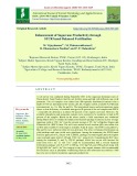 Enhancement of sugarcane productivity through STCR based balanced fertilization