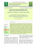 Effects of intercropping on chlorophyll content in maize (Zea mays L.) and Soybean (Glycine max L.)