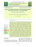 Productivity, storability and economics of Microsprinkler Fertigation for winter onion (Allium cepa L.) in semi-arid conditions