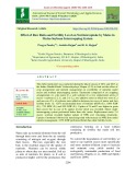 Effect of row ratio and fertility level on nutrient uptake by maize in maize-soybean intercropping system